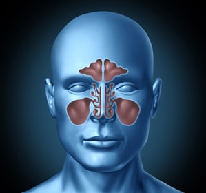 image of sinuses in the head in Birmingham, AL